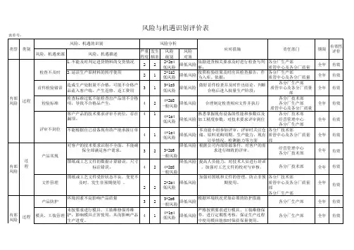 2024年度项目风险与机遇识别评价表
