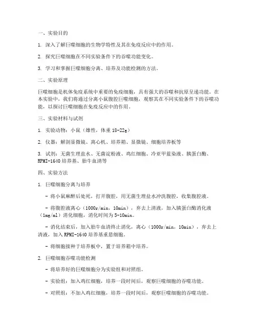 巨噬细胞拓展实验报告