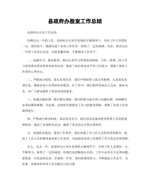 县政府办股室工作总结