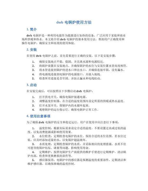 dwb电锅炉使用方法