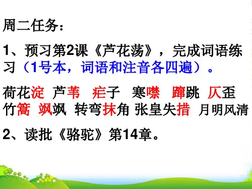 人教版八年级语文上册《芦花荡》课件(共47张PPT)