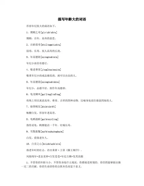 描写年龄大的词语
