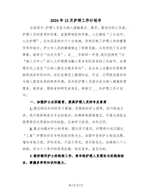 2024年12月护师工作计划书（二篇）