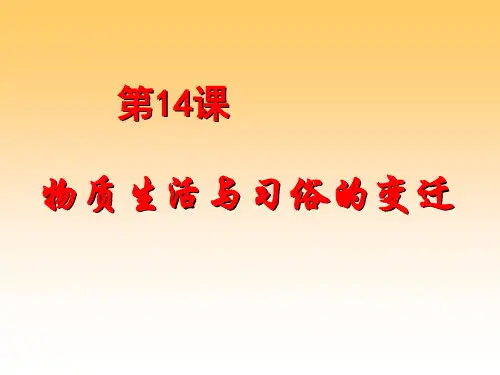 5.14《物质生活与习俗的变迁》课件(新人教必修2)