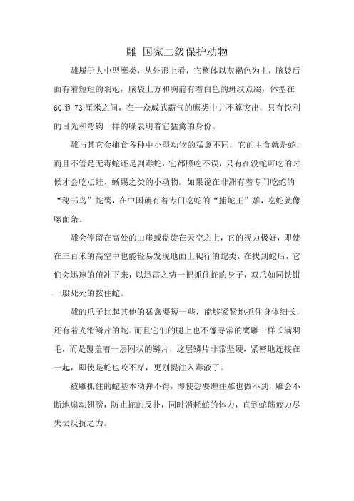 雕 国家二级保护动物