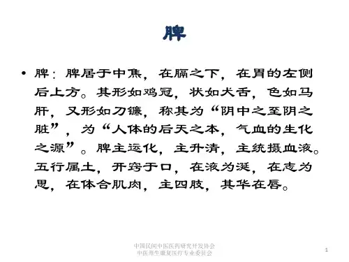 第三章 藏象-五脏-脾肝肾