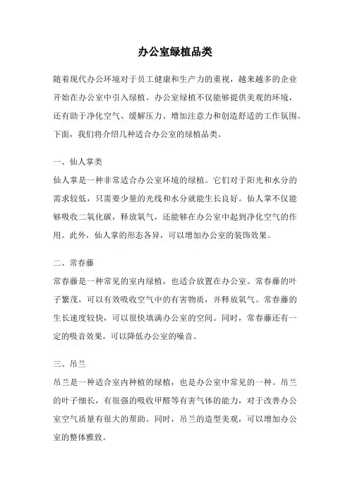 办公室绿植品类