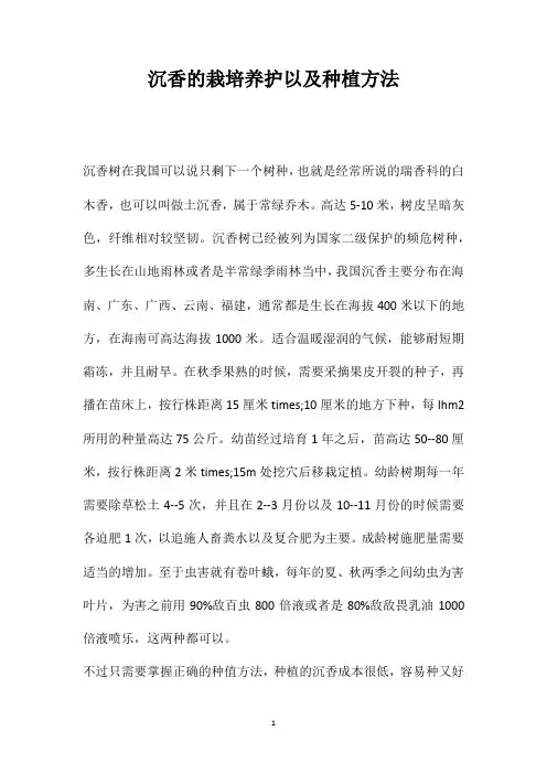 沉香的栽培养护以及种植方法