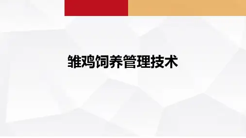 雏鸡饲养管理技术 课件《禽生产》同步教学(中国农业出版社)