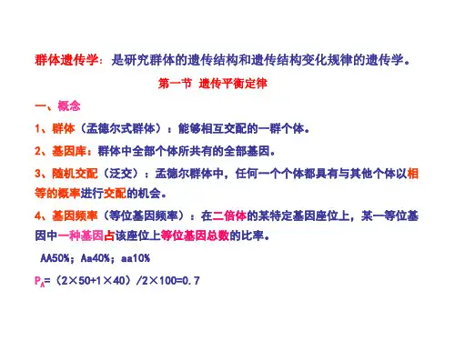 十三章节群体遗传29页PPT