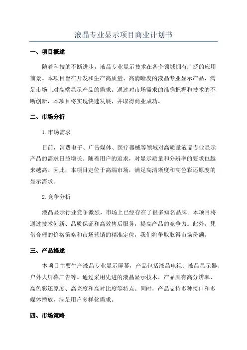 液晶专业显示项目商业计划书