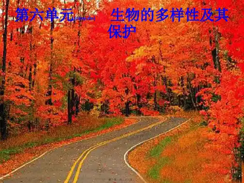 中考生物总复习 第六单元 生物的多样性及其保护 第十九讲 生物分类、认识和保护生物的多样性课件