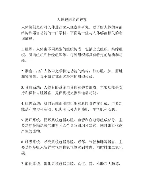 人体解剖名词解释