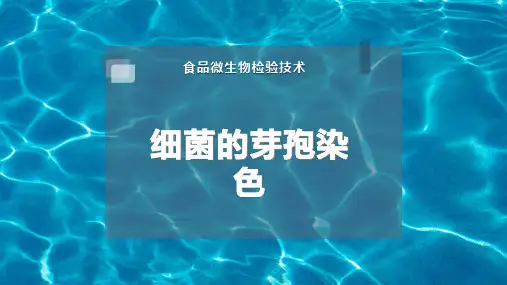 细菌的芽孢染色