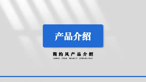 产品介绍PPT模板 (44)