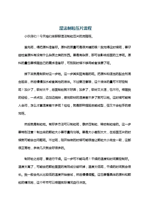 湿法制粒压片流程