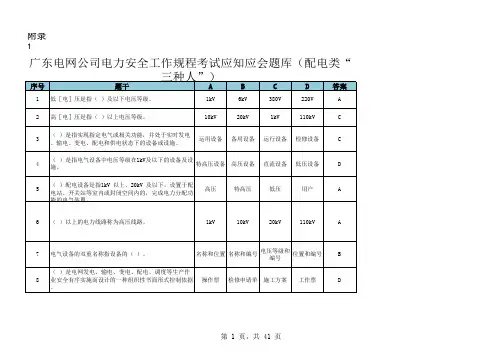 南方电网2016安规配电类“三种人”