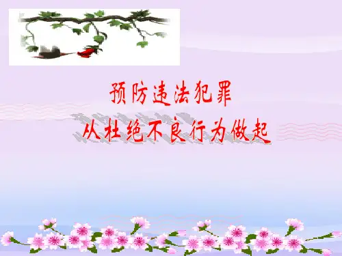 预防违法犯罪,从杜绝不良行为做起ppt2(课件+教案+音频) 鲁教版PPT课件