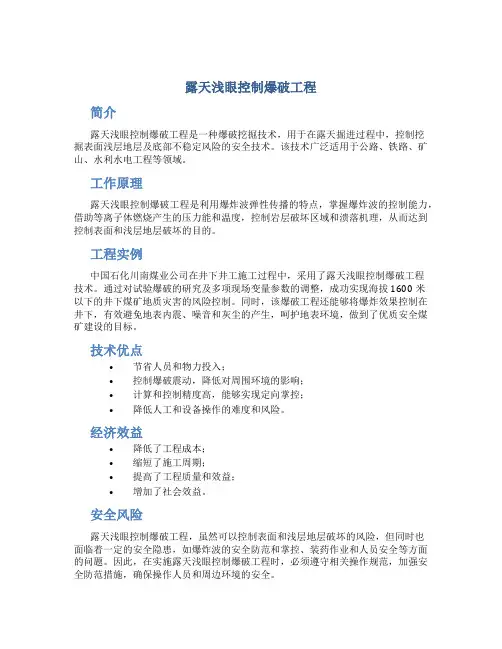 露天浅眼控制爆破工程..