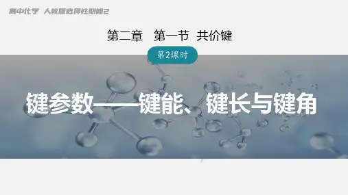 键参数——键能、键长与键角  课件 高二化学人教版(2019)选择性必修2