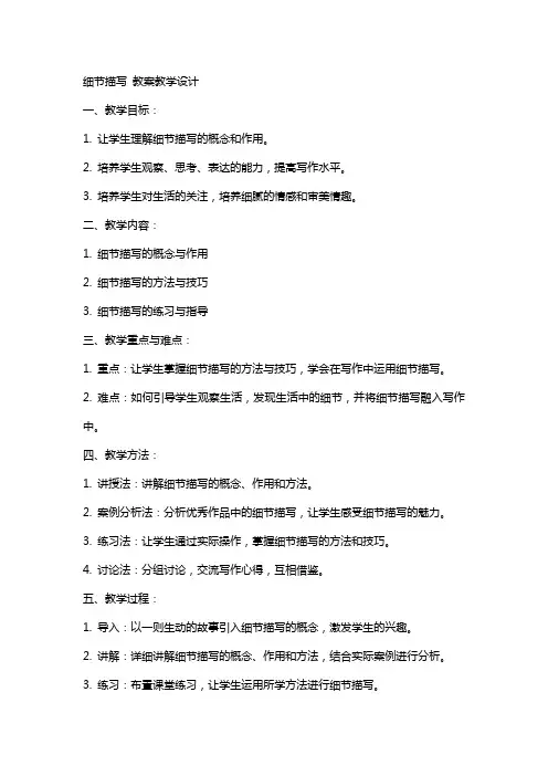 细节描写  教案教学设计