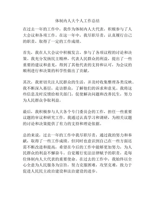 体制内人大个人工作总结