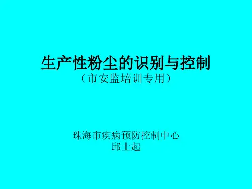 生产性粉尘识别与控制(安监培训) (1)