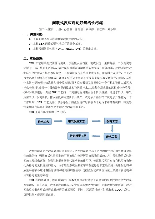 SBR实验方案