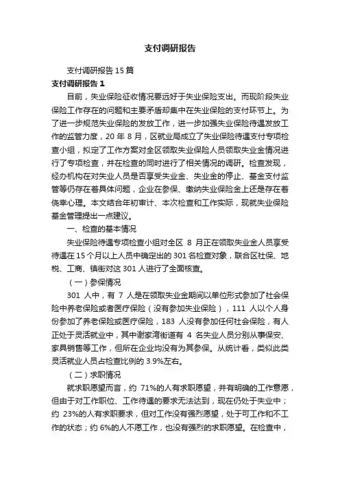 支付调研报告