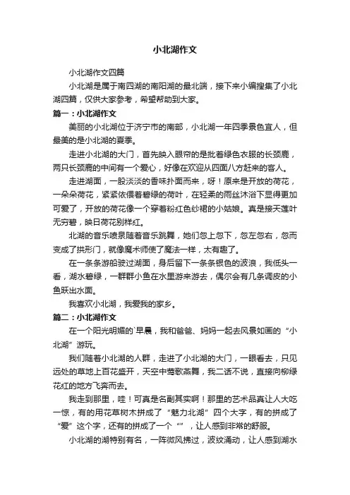 小北湖作文四篇