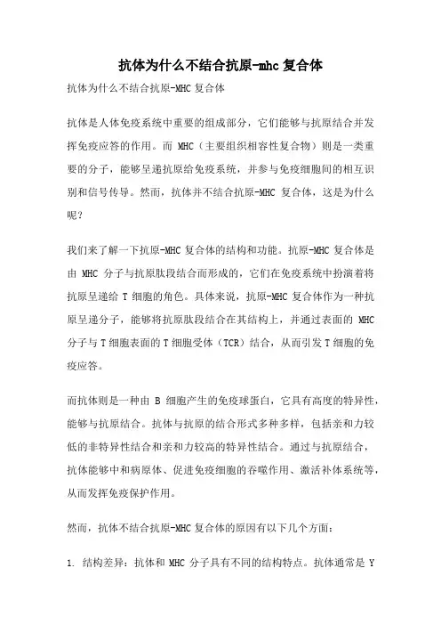 抗体为什么不结合抗原-mhc复合体