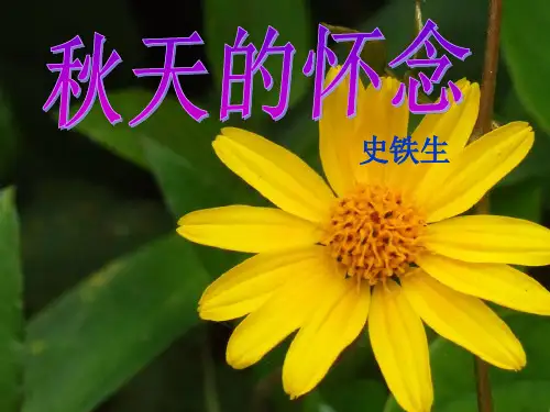 第5课《秋天的怀念》课件(共27张PPT)2022—2023学年部编版语文七年级上册