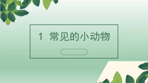 科学第1课时常见的小动物PPT