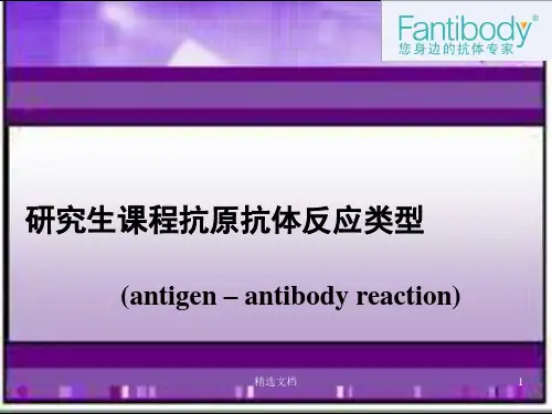 (完整版)图解抗原抗体反应类型和原理ppt.ppt