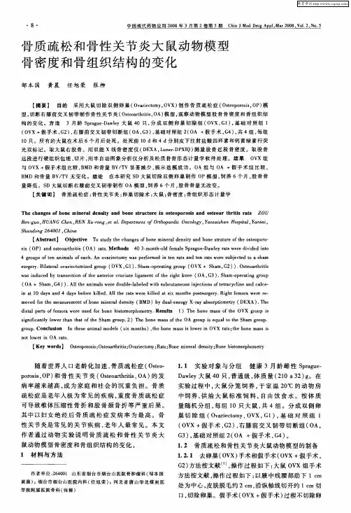 骨质疏松和骨性关节炎大鼠动物模型骨密度和骨组织结构的变化