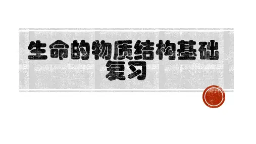 高中生物  生命的物质结构基础 复习