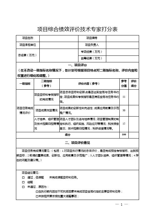 项目综合绩效评价技术专家打分表