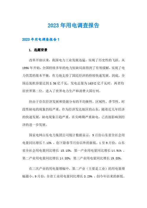 2023年用电调查报告