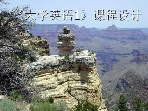 《大学英语1》说课PPT
