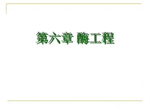 酶工程(基本原理)