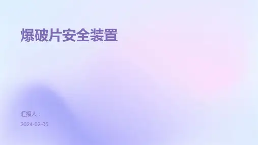 爆破片安全装置