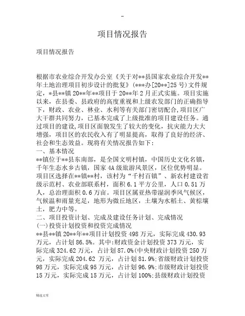 项目情况报告