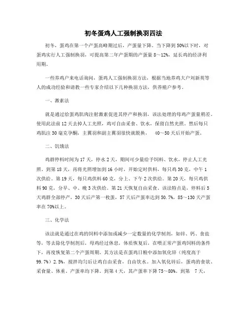 最新动植物养殖：初冬蛋鸡人工强制换羽四法