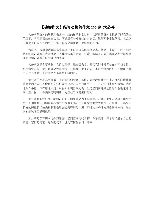 【动物作文】描写动物的作文400字 大公鸡