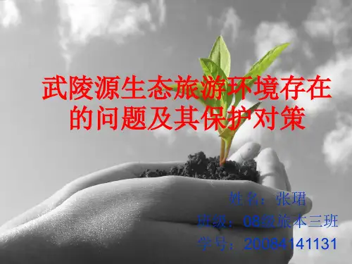 武陵源生态旅游环境存在的问题及其