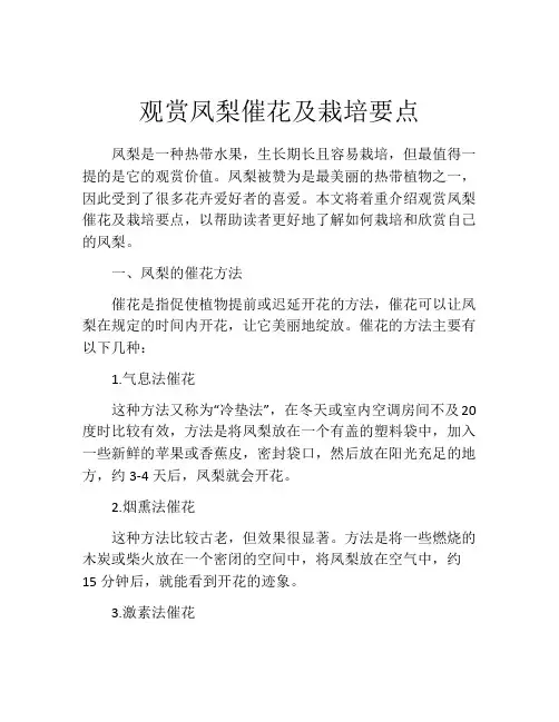 观赏凤梨催花及栽培要点