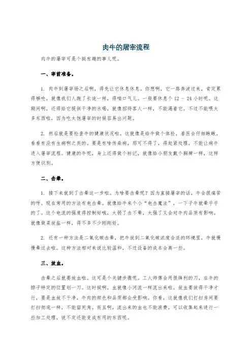 肉牛的屠宰流程