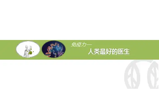 免疫力 ppt课件