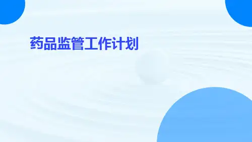 药品监管工作计划PPT