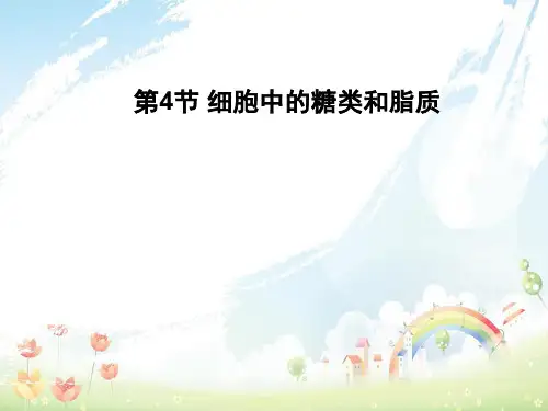高中生物第二章组成细胞的分子2.4细胞中的糖类和脂质课件新人教版必修1